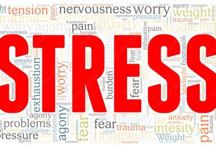 1000_F_366341369_ew1SHuQypvNfieDewTy2JklsHgU3irQC